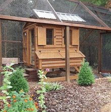 Leonard Chicken Coops Happy Days Farm